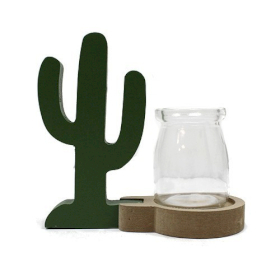 Ghiveci Decorativ Hidroponic - Cactus