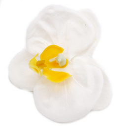 25x Flori de Săpun pentru Mâini Îndrăznețe - Orhidee - Alb