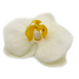 25x Flori de Săpun pentru Mâini Îndrăznețe - Orhidee - Crem