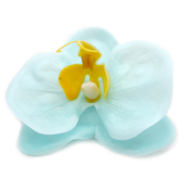 25x Flori de Săpun pentru Mâini Îndrăznețe - Orhidee - Albastru