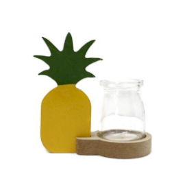 Ghiveci Decorativ Hidroponic - Ananas