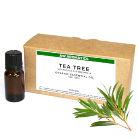 10x Ulei Esențial Bio de Arbore de Ceai 10 ml - Fără Etichetă