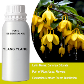 Ulei Esențial Ylang Ylang I 0.5Kg