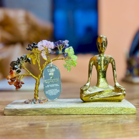 Grădina de Yoga cu Pietre Prețioase - Poziția Mudra - Șapte Chakre - Arbore Înclinat - 100 Pietre