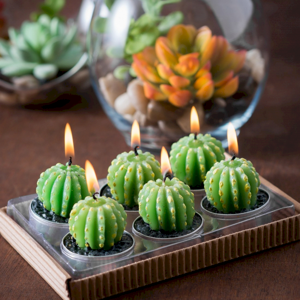 Lumânări Cactus