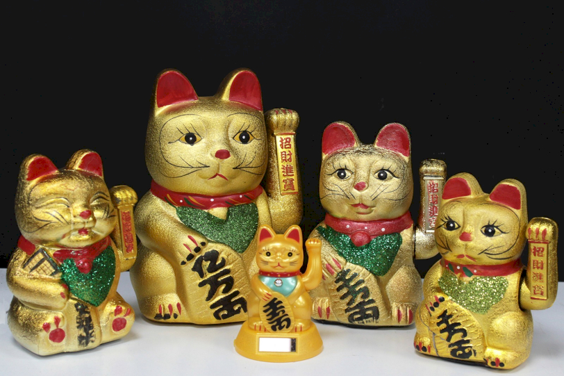 Pisici Pentru Fericire - China
